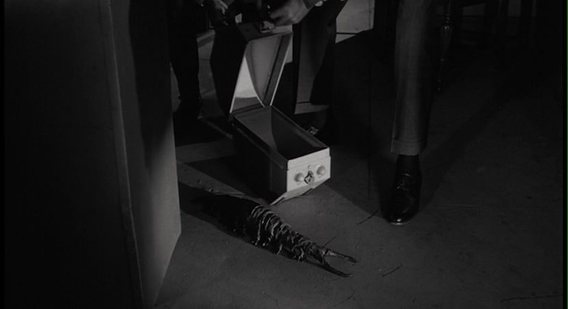 A Goldberg film can spotted in The Tingler.