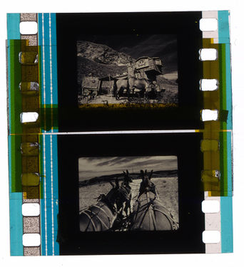 Yellow "zebra" tape splice on a 35mm print
