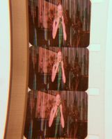 A (poorly photographed) variable density track.