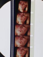 A dual bilateral variable area track.