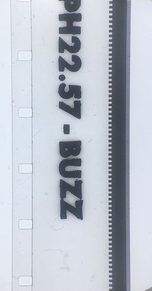 File:16mm Buzz Track.jpg